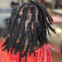 Loc Coils/ 2 strand locs/ Starter locs