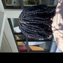 Mini Twists