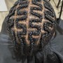 Comb Twist