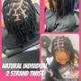 Kid's Natural Individual Braids/Twists