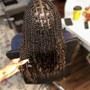 Mini Passion Twists