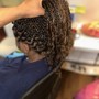 Mini Passion Twists