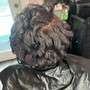 Transitioning Cut/Shampoo & Style