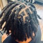 Starter Locs - Small - Full