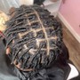 Starter Locs