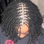 Starter Wicks - Full (Loose Hair)