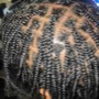 Tree Braids