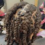 Natural Coils/starter locs