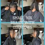 Small Box Braids