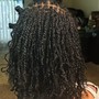 Comb Twist