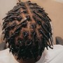 Starter Locs