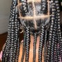 box braids ( extensions added)