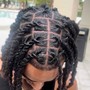 Twists/Braids