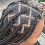 box braids ( extensions added)