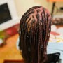 Loc Maintenance (Retwist via Backcomb/Palm Roll method)