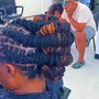 Braids/Twist over locs