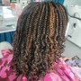 Small Kinky Twist Shoulder Length