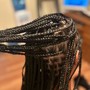 Large Goddess Box Braids