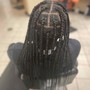 Crochets (pre-looped braids/twists)