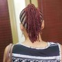 Large Feed In Braids