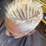 Platinum Hair color service with Consultation and Olaplex Treatment  and Tone