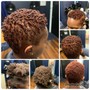 Transitioning (Big Chop)/Designer  Cut (No Shampoo)