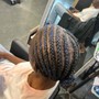 Natural  Braid or Twist Style