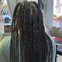 Small lemonade braids