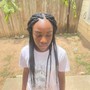 Box Braids (medium mid back