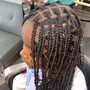 Lemonade feed-in braids