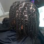 Two Strand Twists