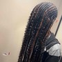 6 Stitch Braids