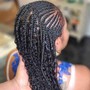 Senegalese Twist