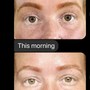 Ombré Brow | Powder Brow Touch-up (8 weeks post initial service)