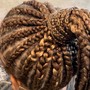 High ponytail feed-in braids