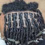 Starter Micro locs