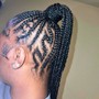 Tree Braids