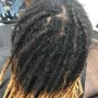 Starter Locs