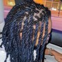 Starter Locs