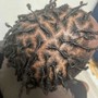 Starter Locs full head ear length