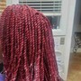 Medium/Large  Braids Hanging