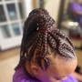 Feed-in Braids