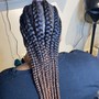 Medium 2 layer feeder braids