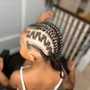 Braided Ponytail w/ Large Braids