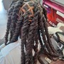 Extended 2 strand Locs w retwist and added hair