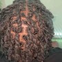 Starter Locs