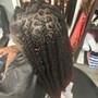 Passion Twists (Mid Back length)