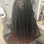 Passion Twists (Mid Back length)