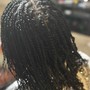 2 Strand Mini Twist (natural hair)