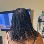 2 Strand Mini Twist (natural hair)